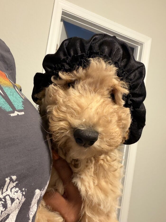 We Wear Bonnets To Sleep Spoiled. Mind You I Just Got Her A Month Ago 😮‍💨