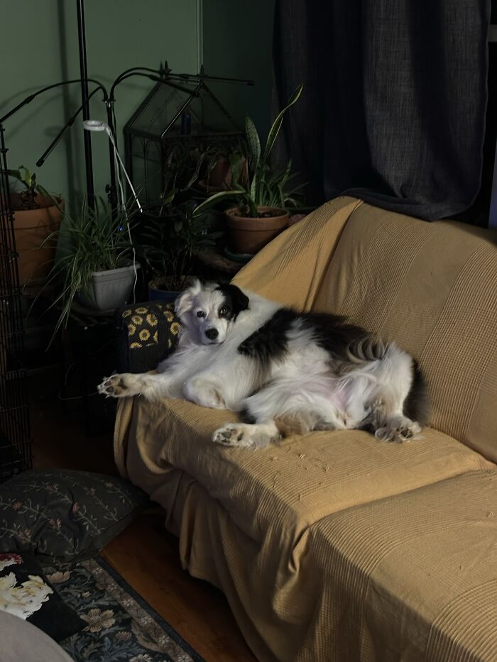 It’s Her House And We Live In It