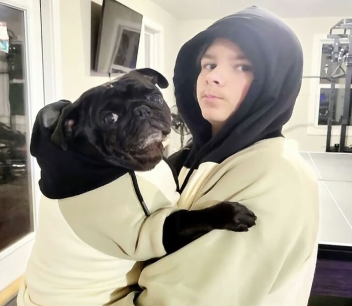 A young person wearing a hoodie holding a black pug dog home in a matching hoodie. A young person wearing a hoodie holding a black pug dog home in a matching hoodie.