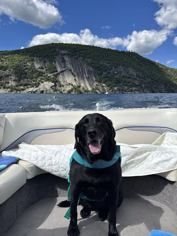 The Dog Boat (Old Pontoon) Finally Crapped Out This Year And Maria Was Allowed To Go On Grandpaw’s Very Nice Ski Boat In The Meantime