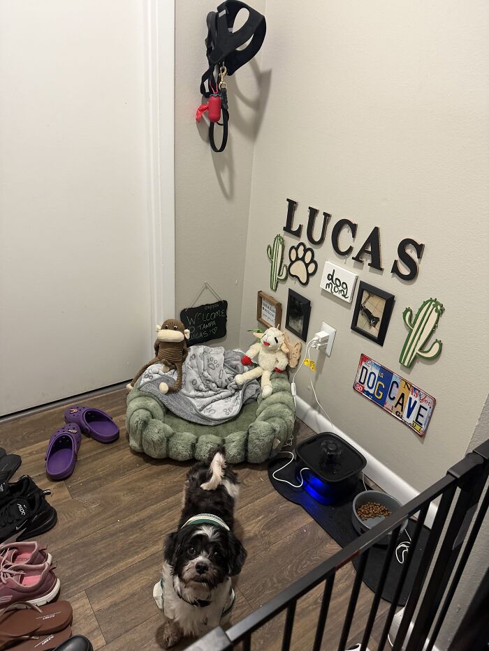 His Little Area🥹