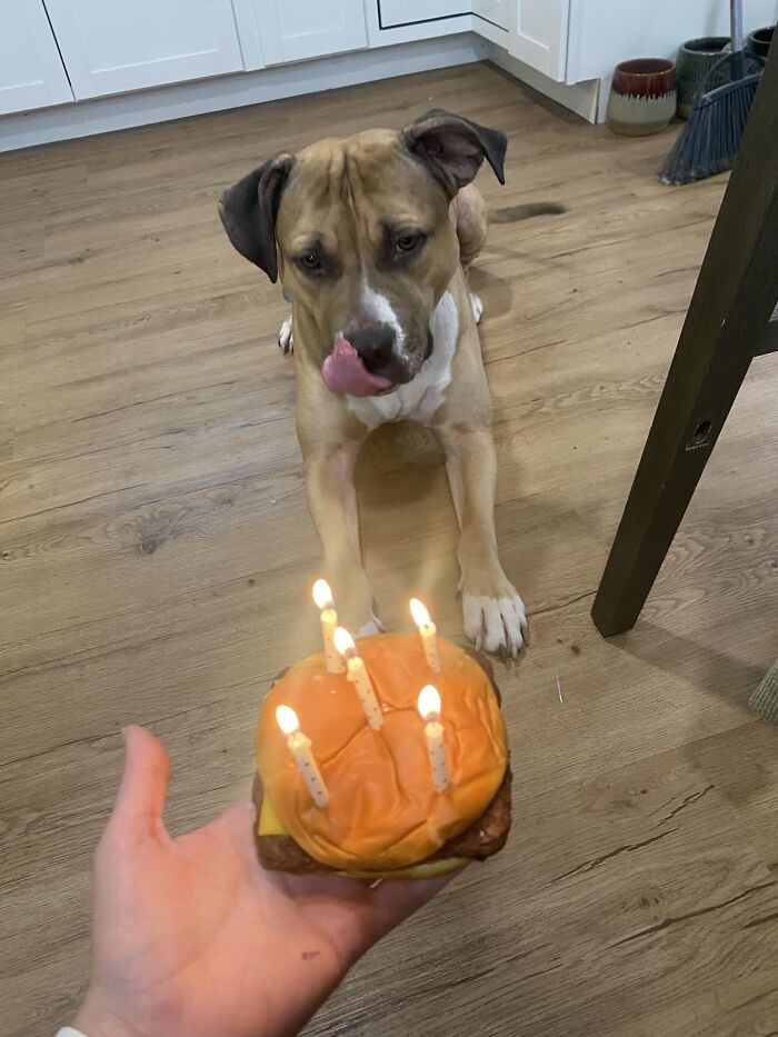 Happy Birthday!