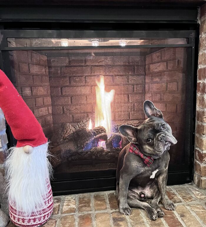 Yes We Turn The Fire On For Him 🥰