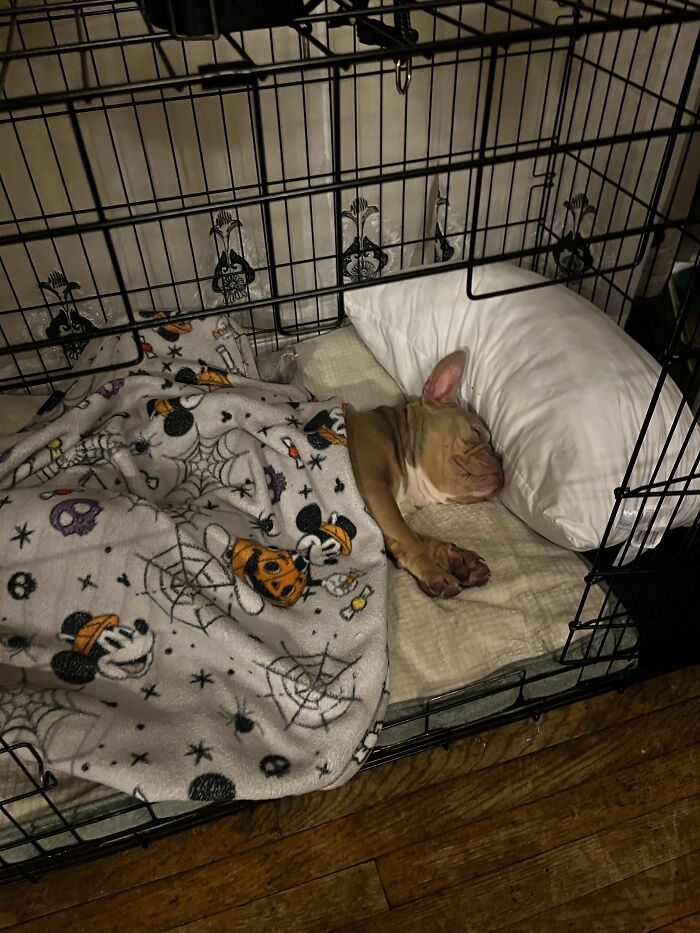 Sleep Like She Pays Bills