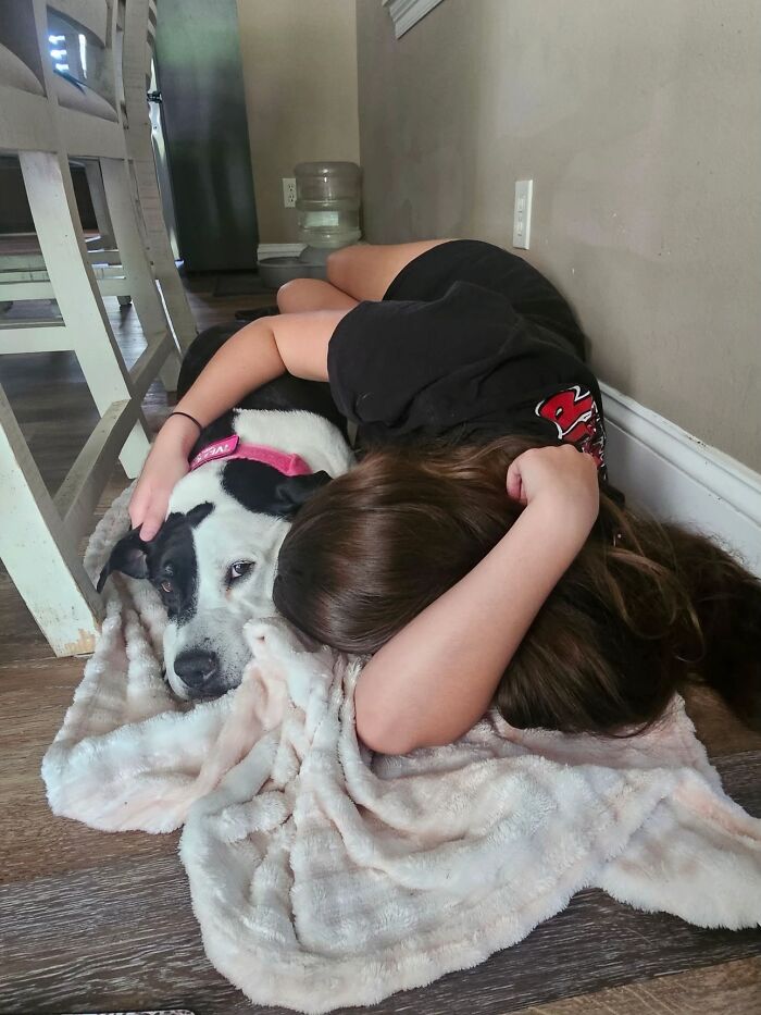 A girl cuddles with her black and white dog on a blanket, showing their shared life stories