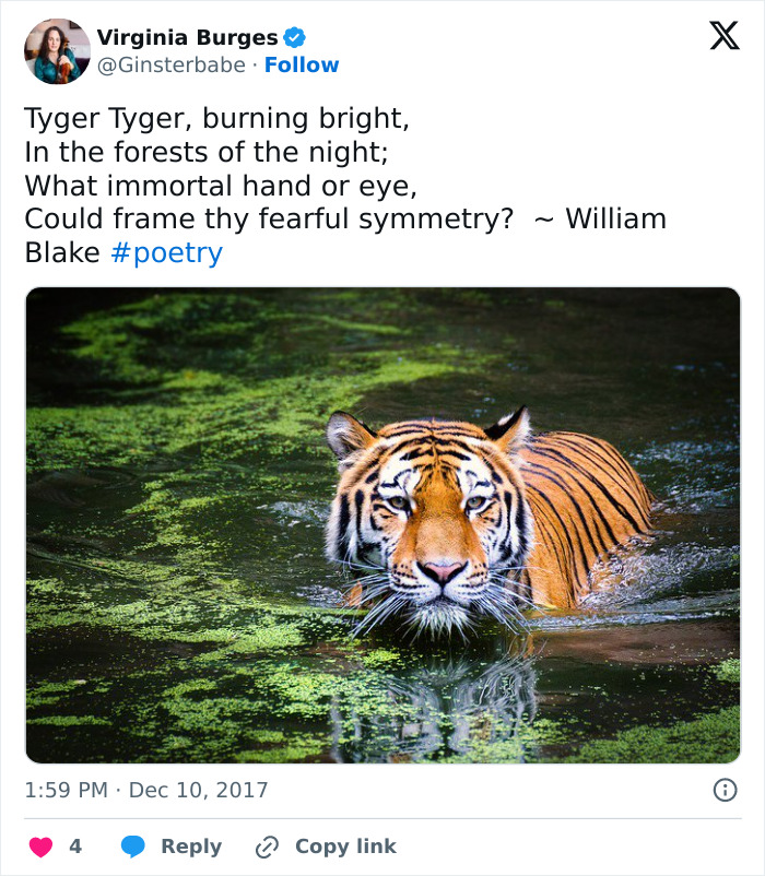 Chilling Posts From Mom Of Former Child Actor Who Entered Tiger Enclosure Raise Questions After Fatal Incident Chilling Posts From Mom Of Former Child Actor Who Entered Tiger Enclosure Raise Questions After Fatal Incident