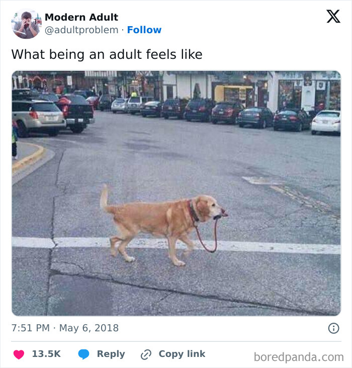 Meme showing a dog holding its own leash about adult responsibilities