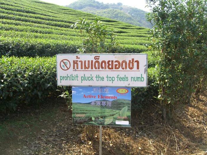Outdoor garden sign displaying translation fails that read prohibit pluck the top feels numb.