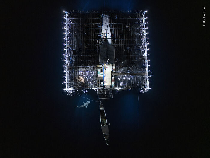 Top view of illuminated structure and boat in dark water for wildlife photographer 2026