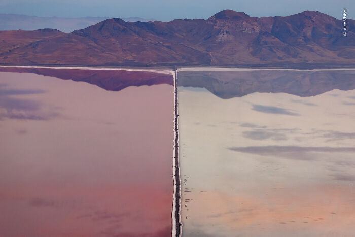 Colorful salt flats with mountain reflection for wildlife photographer 2026