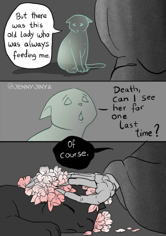 Cat asking d***h to see old lady one last time in emotional animal comics