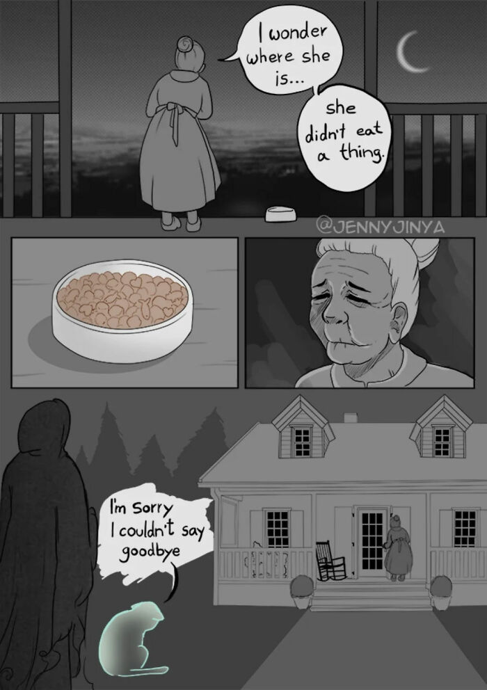 Older woman worried about missing cat in emotional animal comics