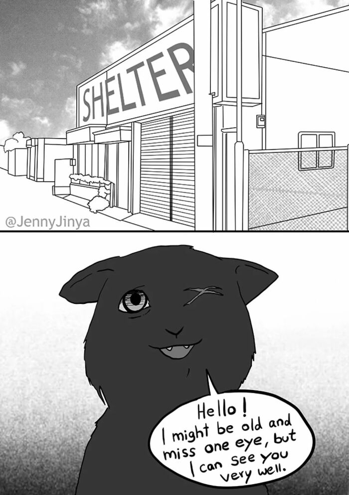 Animal shelter and one-eyed cat speaking in emotional comics