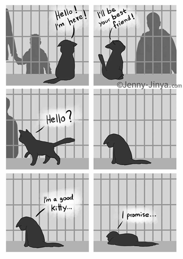 Lonely cat in shelter cage in emotional animal comics