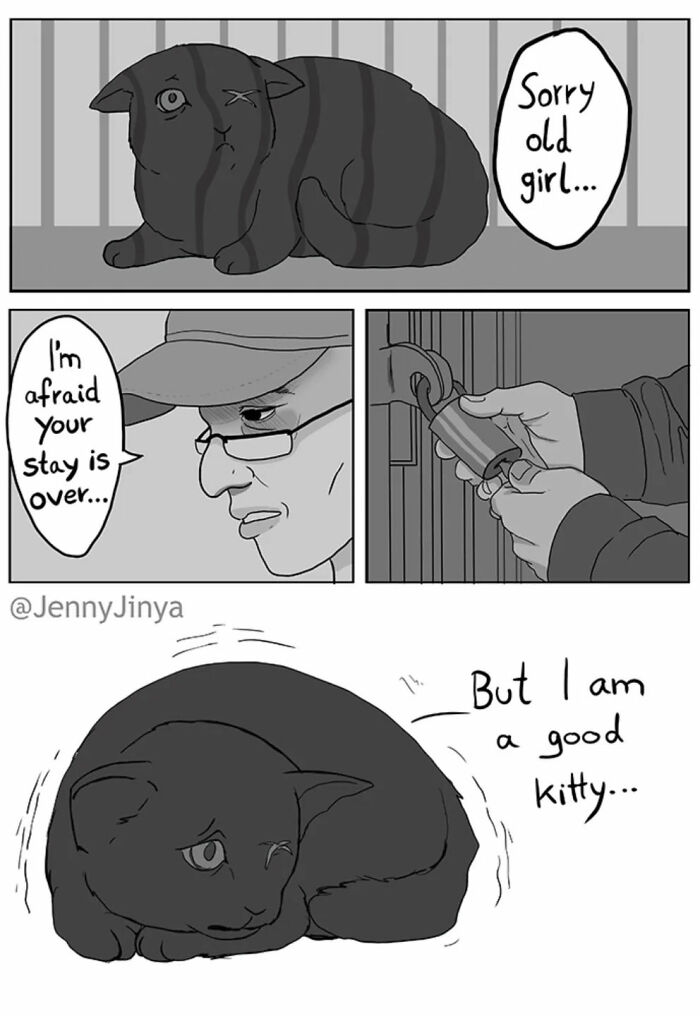 Sad black cat in shelter cage with a man locking it up in emotional animal comics