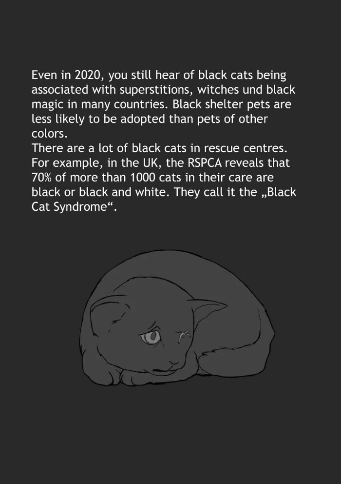 Text explaining black cat adoption struggles with sad black cat in emotional animal comics