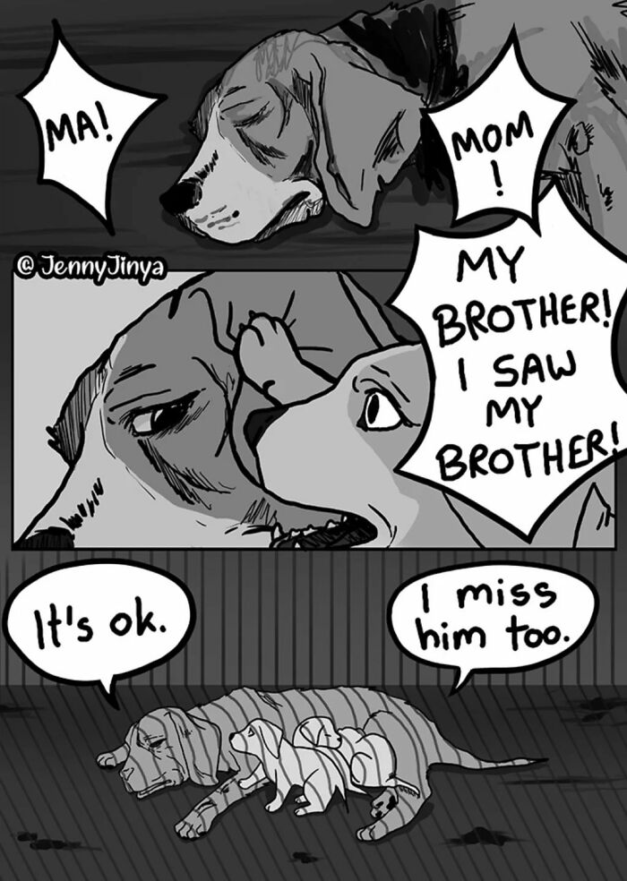 Emotional animal comic panel showing dogs missing their adopted brother