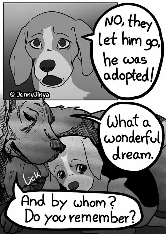 Dog comic panel revealing brother was adopted, touching animal story