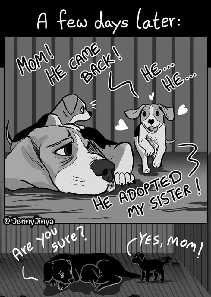 Heartwarming animal comic about dogs reunited after adoption