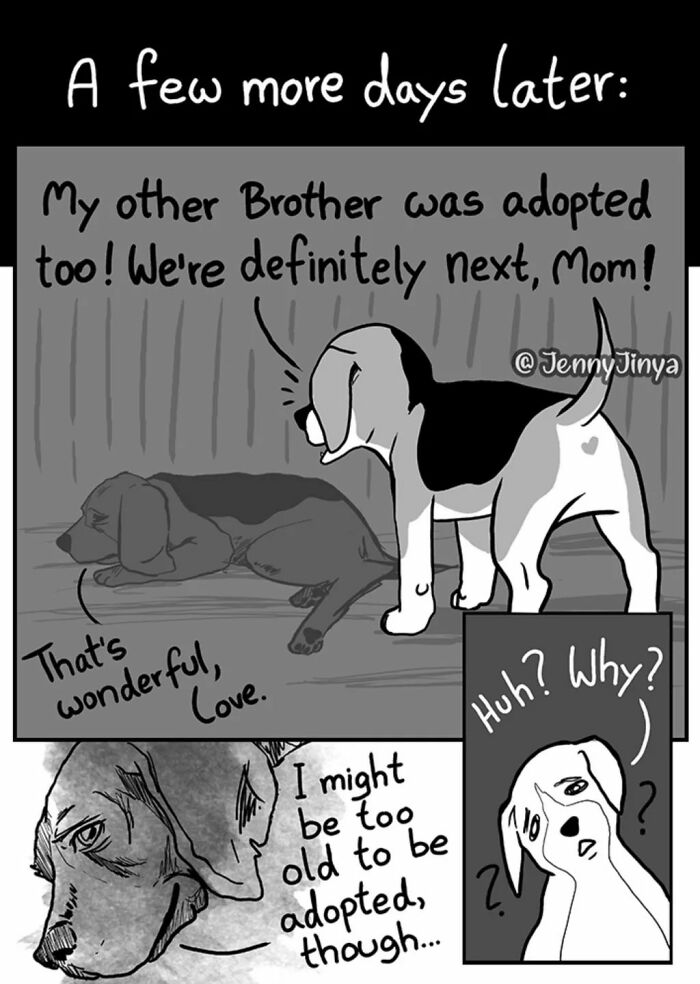 Animal comic about a dog feeling too old to be adopted in emotional story
