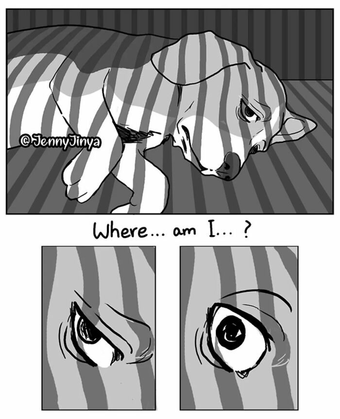 Lonely dog wondering where it is in emotional animal comics