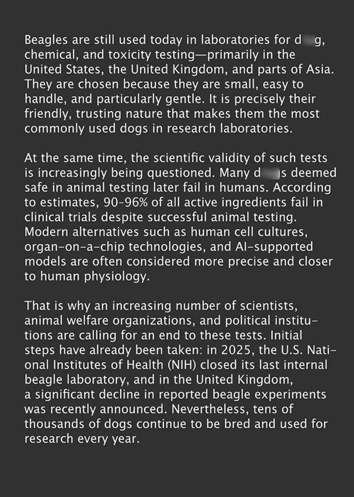 Text explaining beagle use in laboratories and calls to end animal testing in research