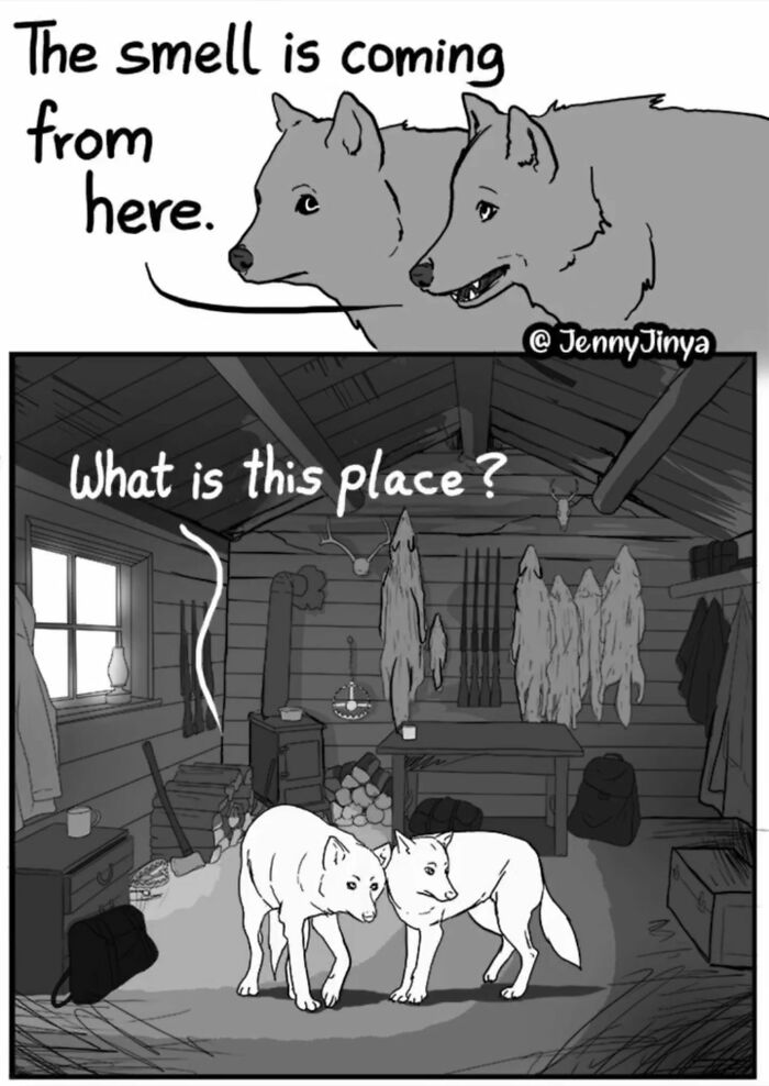 Emotional animal comic with two dogs discovering a mysterious place indoors