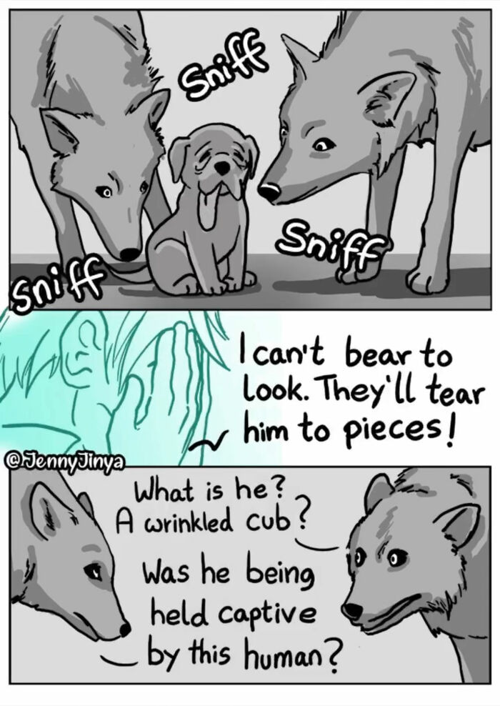 Animal comics featuring wolves sniffing a pup and questioning his captivity