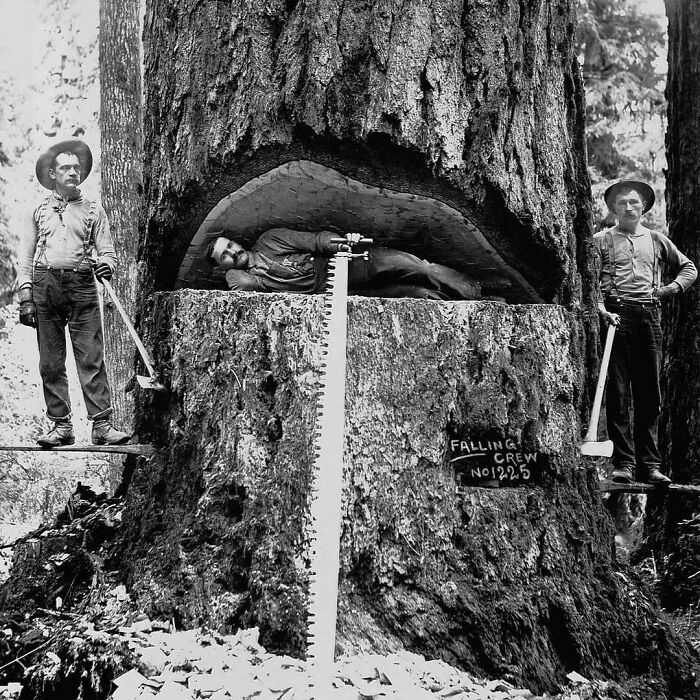 1892-1937 Lumberjacks