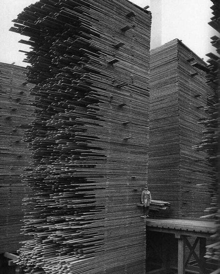 Huge Stacks Of Lumber Drying In Seattle, 1919