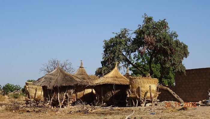 Villagers Tell A Legend Of Crocodiles That Came With The Rain And Saved Their Ancestors Villagers Tell A Legend Of Crocodiles That Came With The Rain And Saved Their Ancestors