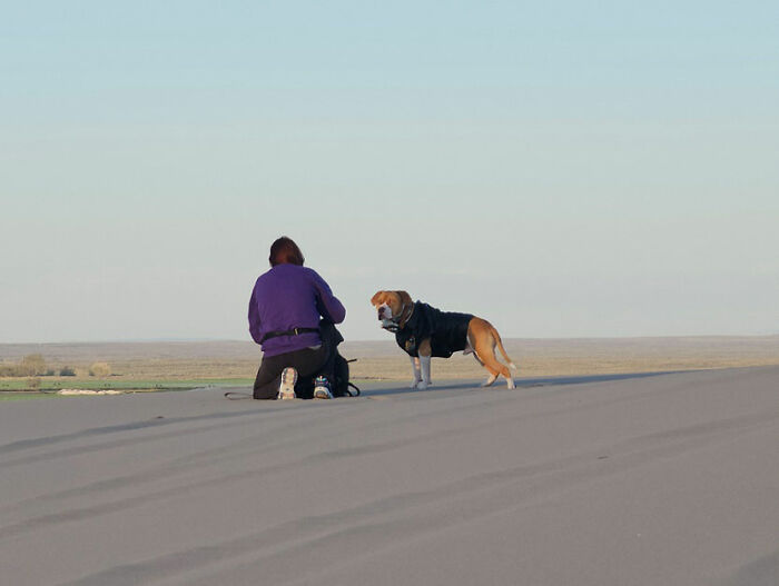 A photographer kneeling on a sand dune taking a picture of a dog during a Mad Max photoshoot. A photographer kneeling on a sand dune taking a picture of a dog during a Mad Max photoshoot.