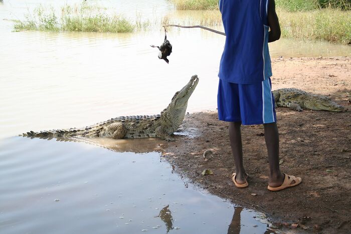 Villagers Tell A Legend Of Crocodiles That Came With The Rain And Saved Their Ancestors Villagers Tell A Legend Of Crocodiles That Came With The Rain And Saved Their Ancestors
