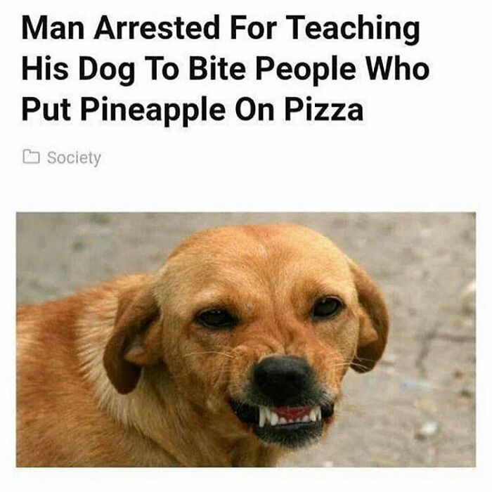 Hilarious News Headlines about a dog trained to bite people who eat pineapple pizza