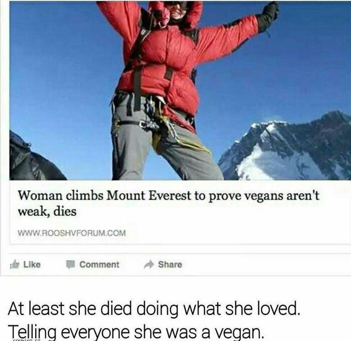 A mountain climber with an unhinged news headline about a vegan climbing Mount Everest