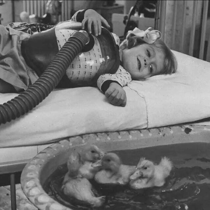 In 1956, University Hospital In Ann Arbor, Michigan, Gave Children Therapy Animals