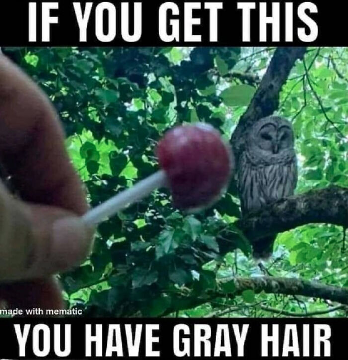 A nostalgic meme with an owl and a lollipop about getting older.