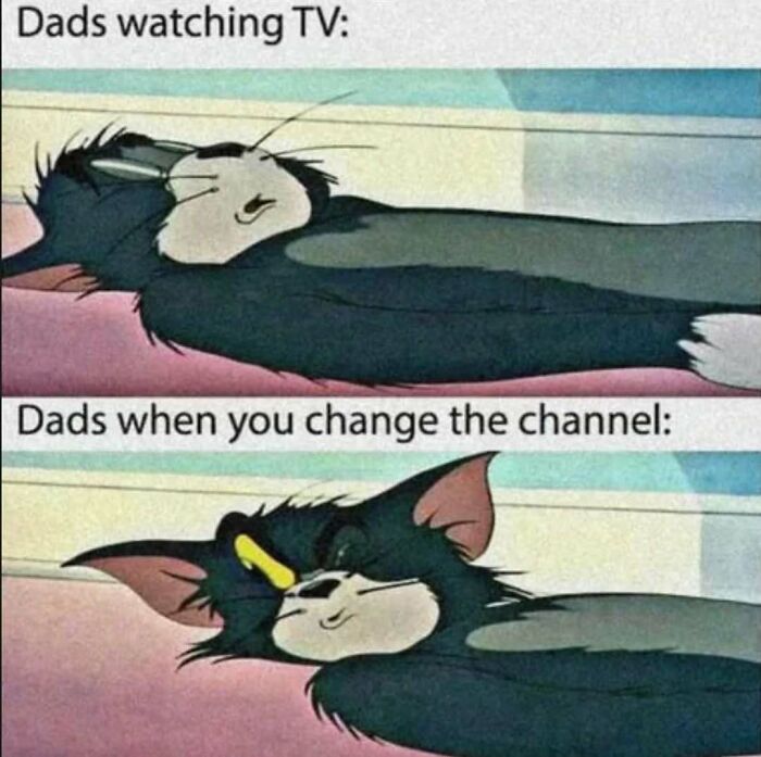 Tom the Cat meme about dads watching TV, ideal for sending memes to friends