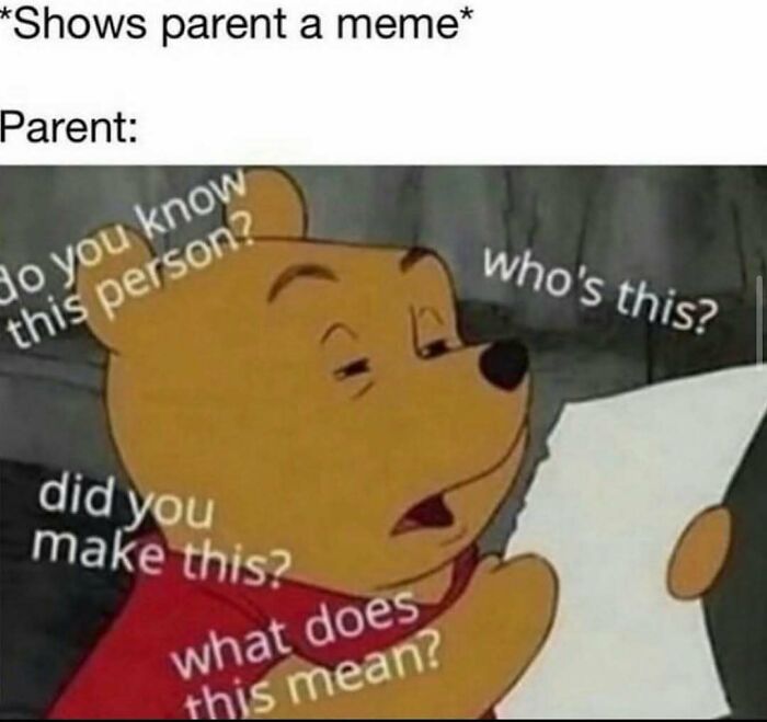 Funny Winnie the Pooh meme about parent reactions to sending memes to friends