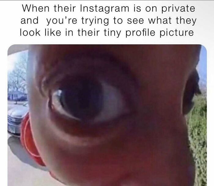 Relatable Instagram profile picture meme to send to friends