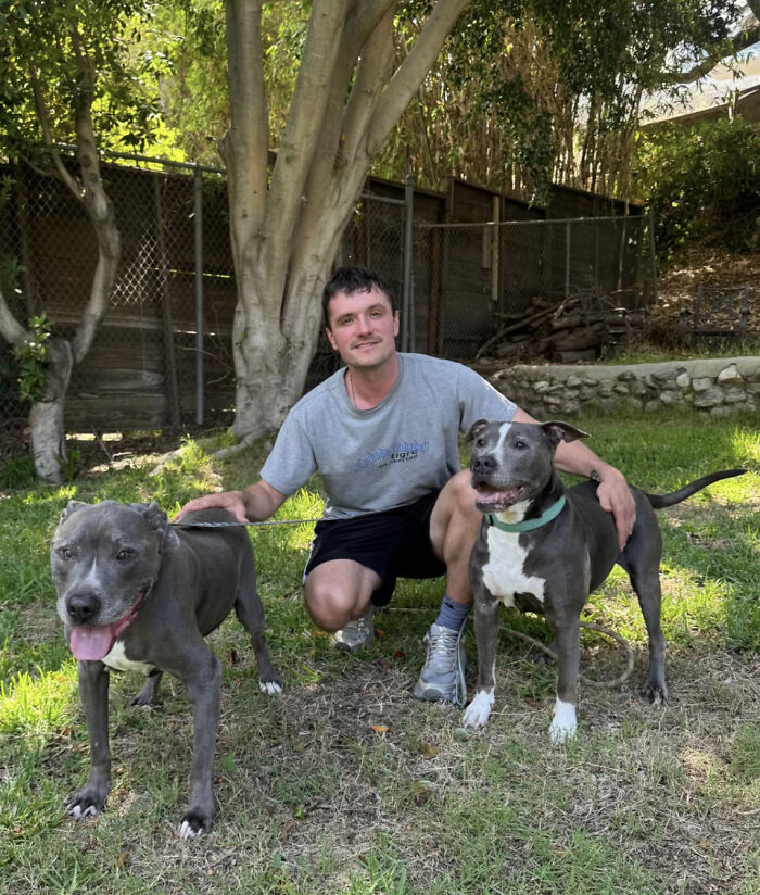 This 'Hunger Games' Star Rescued An Injured Pup At 19, And Now He Shows How Shelter Dogs Heal This 'Hunger Games' Star Rescued An Injured Pup At 19, And Now He Shows How Shelter Dogs Heal