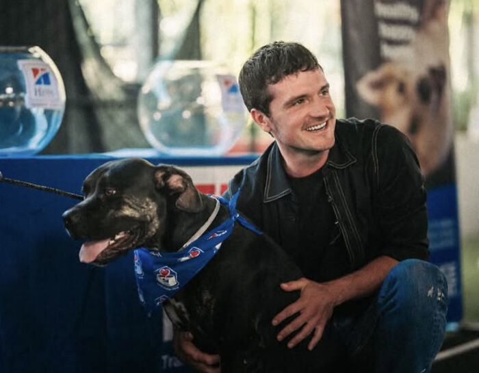 This 'Hunger Games' Star Rescued An Injured Pup At 19, And Now He Shows How Shelter Dogs Heal This 'Hunger Games' Star Rescued An Injured Pup At 19, And Now He Shows How Shelter Dogs Heal