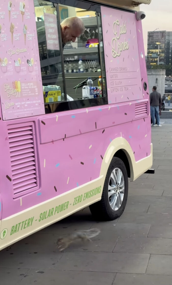 London Ice Cream Van Owner Forms Unlikely Friendship With Local Tower Bridge Squirrel