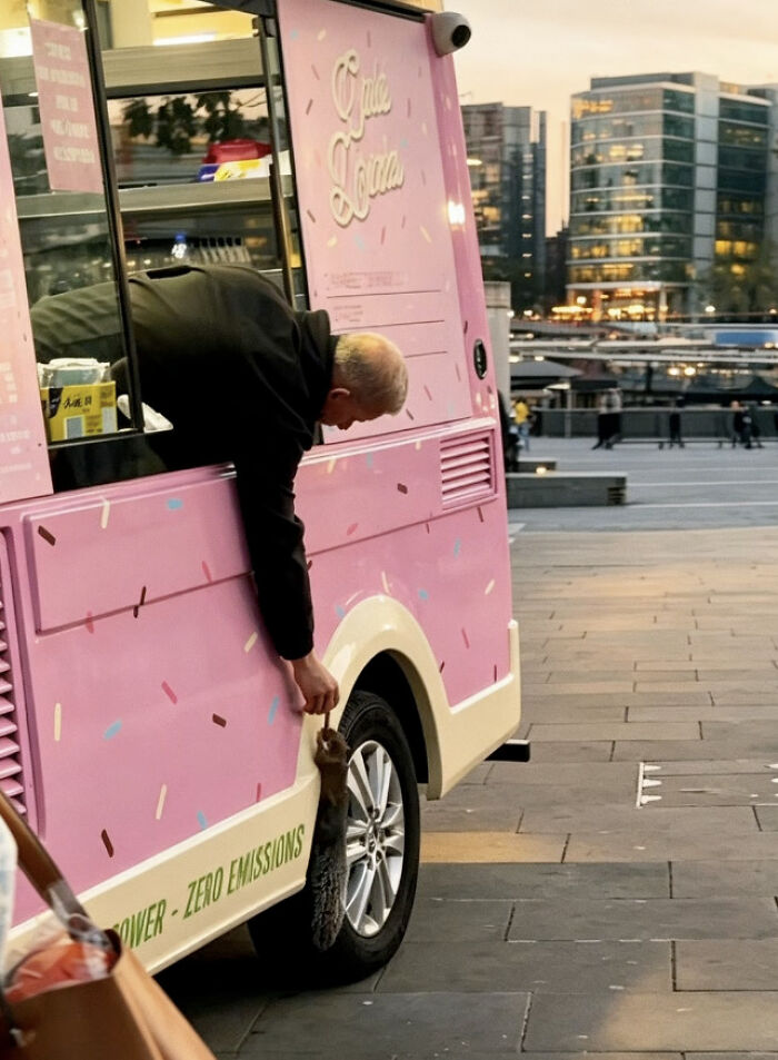 London Ice Cream Van Owner Forms Unlikely Friendship With Local Tower Bridge Squirrel
