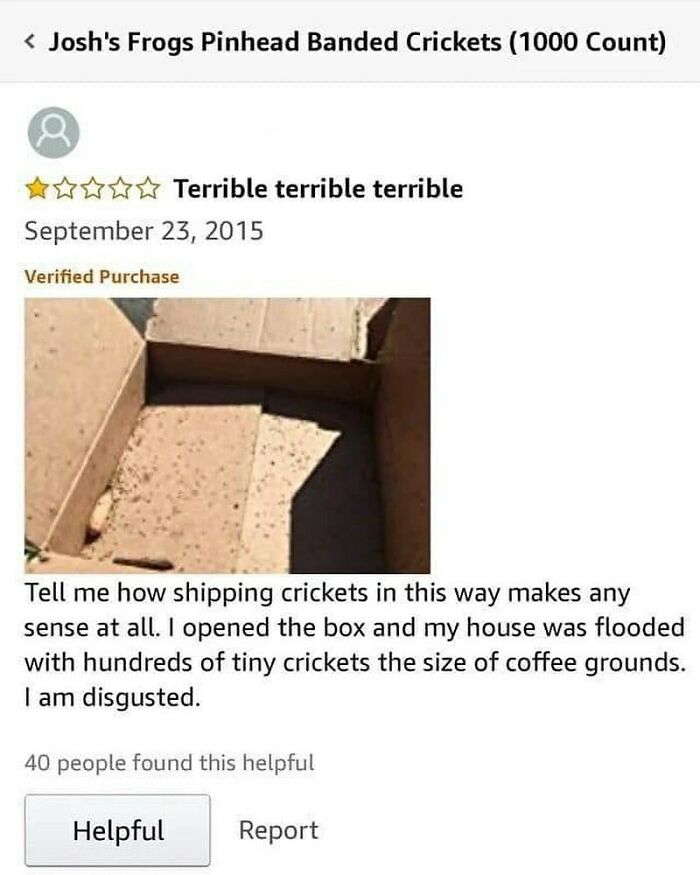Funny product review complaining about receiving loose crickets shipped inside an open cardboard box.