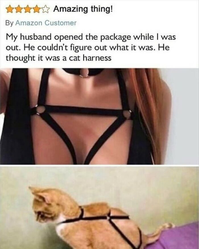 Product reviews showcasing a woman in a black harness and a cat wearing the same harness mistakenly.