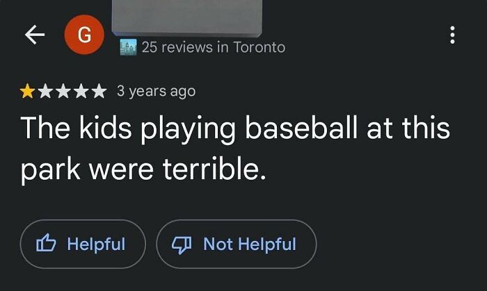 Hilarious product review complaining about kids playing baseball at a park.