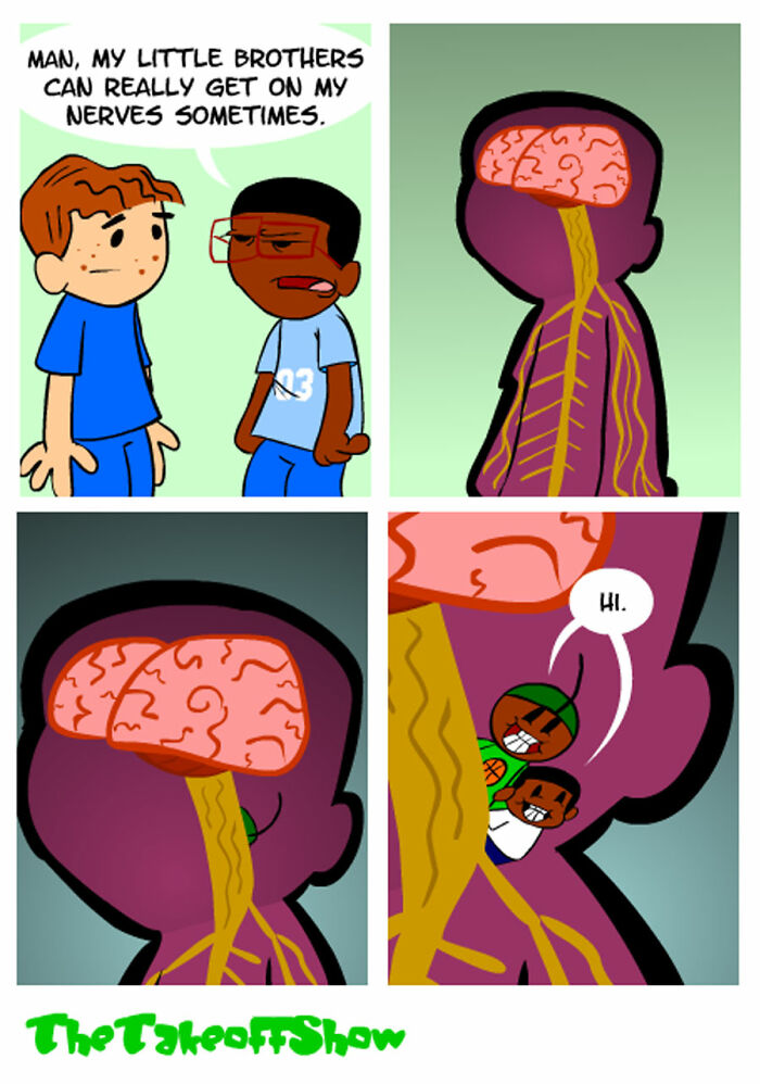 Family Cartoons
