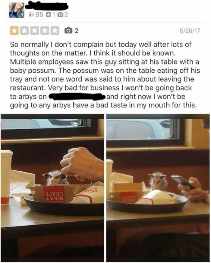 Funny product review complaining about a baby possum eating at a restaurant table.