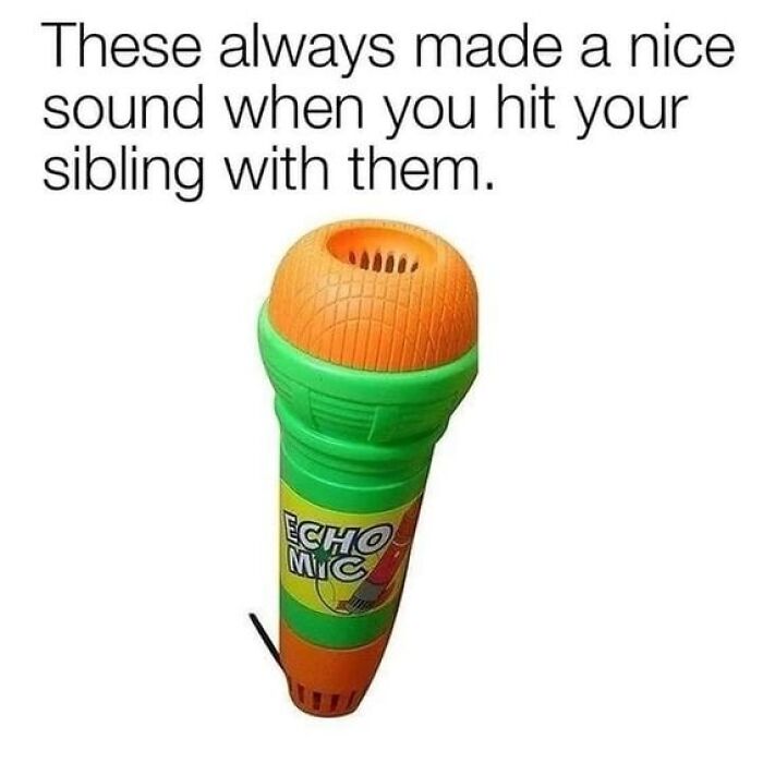 A colorful plastic Echo Mic toy microphone, a nostalgic item from childhood that brings back fun memories.